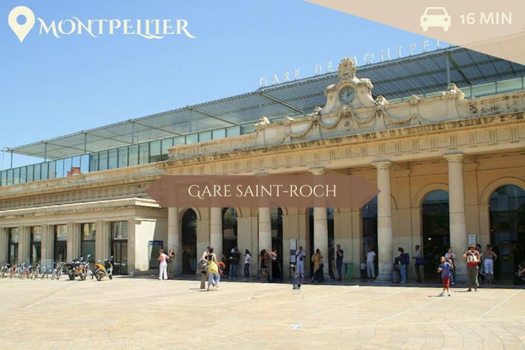 041 - Studio Le Chateau D'O, Appart 4Pers, Parking, Proche Faculte De Medecine Montpellier Eksteriør billede